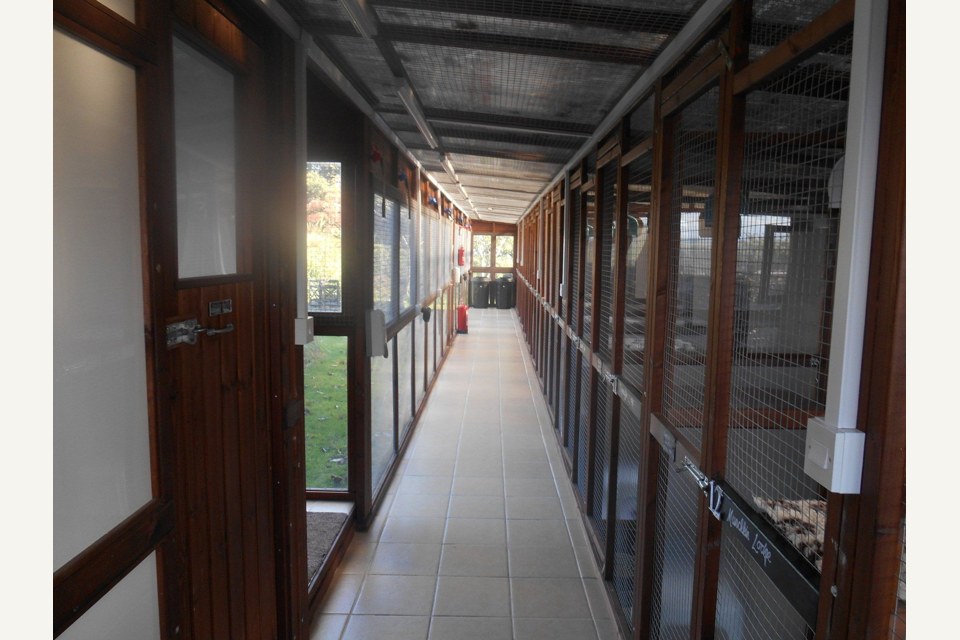 Petwatch Cattery Huddersfield